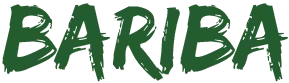 Logo BARIBA transparent