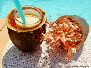 Pulpe de baobab bio naturelle et fruit de baobab ouvert