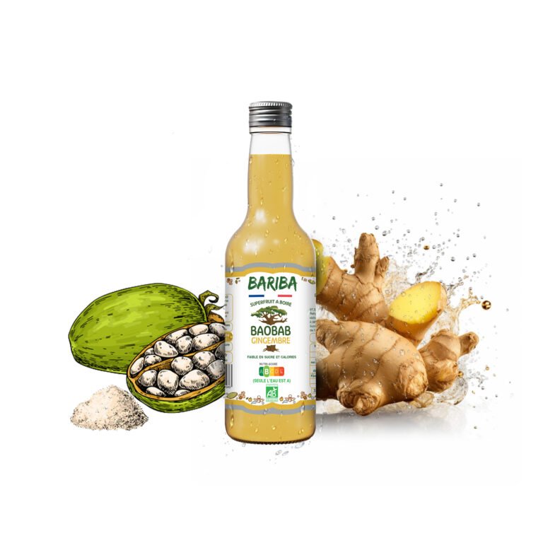 BOISSON BAOBAB GINGEMBRE BIO 33CL X12