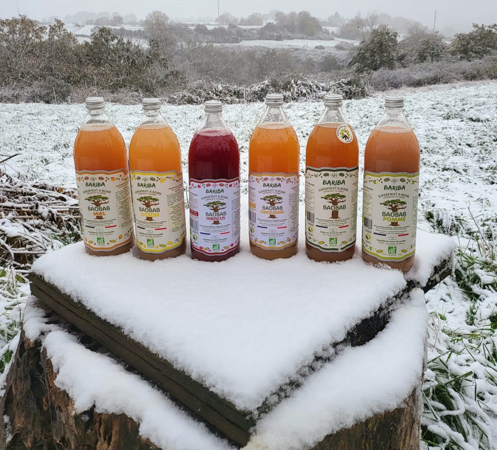 Comment choisir le meilleur jus de fruits artisanal sur le marché en 2025 ?