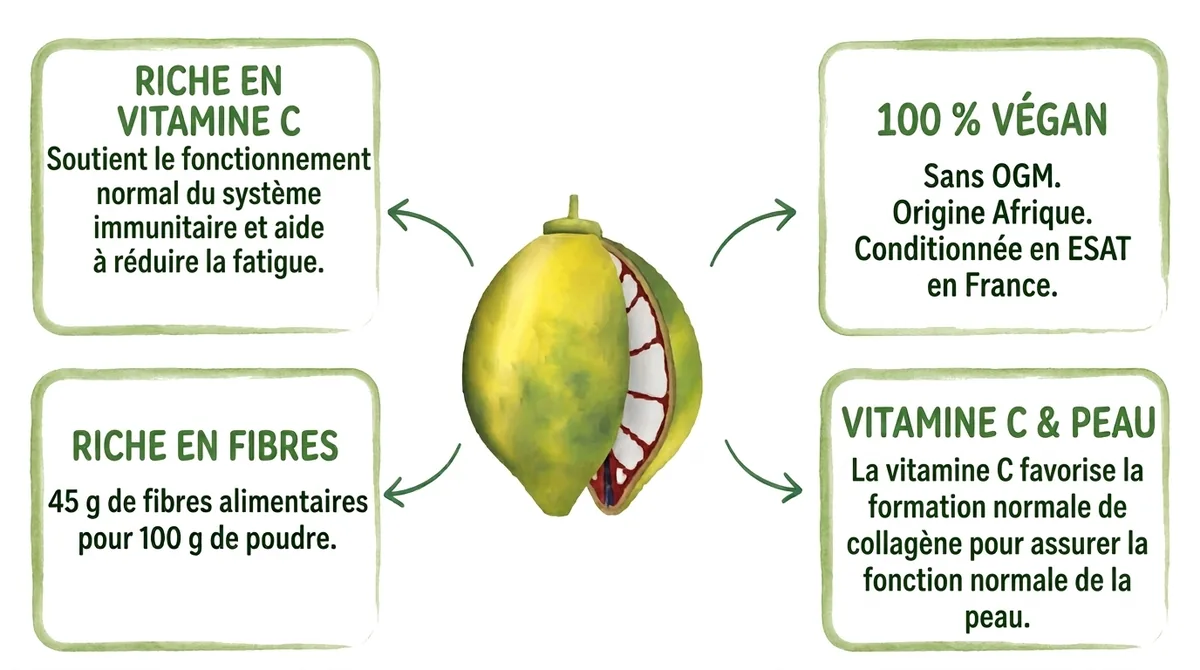 Poudre de baobab bio BARIBA riche en vitamine C et en fibres, 100 % végan, sans OGM, conditionnée en ESAT en France