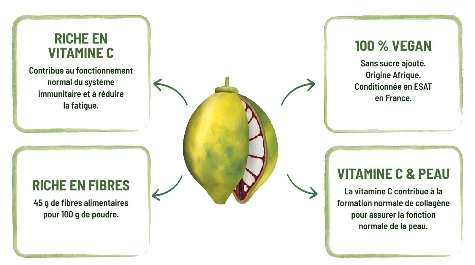 Poudre de baobab bio BARIBA riche en vitamine C et en fibres, 100 % végan, sans OGM, conditionnée en ESAT en France