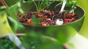 Salade de lentilles, une source de protéines végétales
